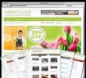 instal my shopperpress theme on your blog